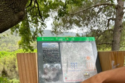 Nou itinerari sensorial a Alcover