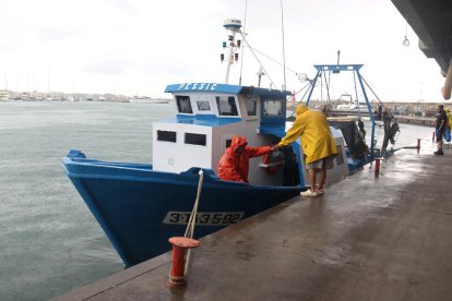 Las barcas de arrastre de Cambrils vuelven a puerto con tres toneladas de pescado después de la veda