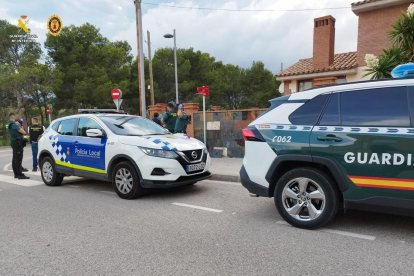 Desarticulen una plantació de marihuana indoor oculta en un habitatge de Miami Platja