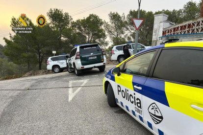 Desarticulan una plantación de marihuana en una vivienda de Cunit