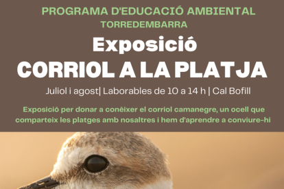 'Corriol a la platja', l'exposició que es pot visitar a Cal Bofill de Torredembarra fins a finals d'agost