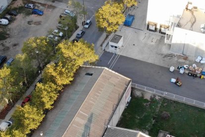 Desmantelan una plantación interior de marihuana en el Polígono Agro-Reus