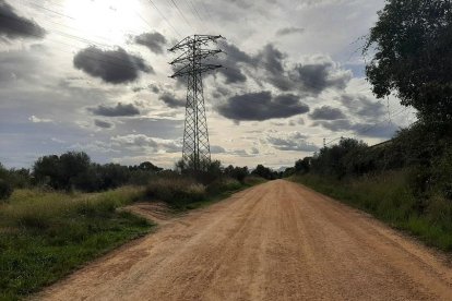 Reus realiza el arreglo de los caminos del entorno del Cementerio General de Reus