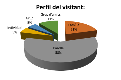 Perfil dels visitants.