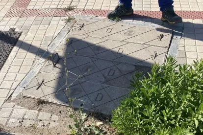 El operario escondió la hucha robada en una arqueta de telefonía situada en la calle.