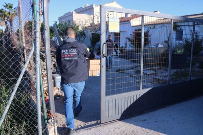 Imatge de l'entrada dels Mossos d'Esquadra en un dels domicilis investigats, a Deltebre.