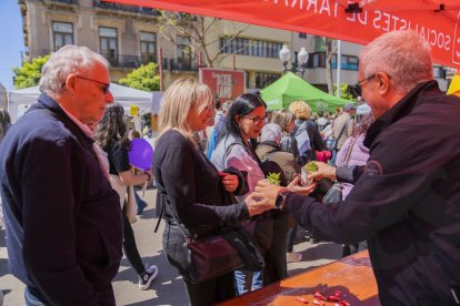 Sant Jordi en Tarragona