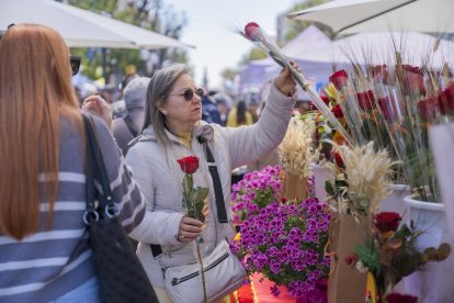 Sant Jordi en Tarragona
