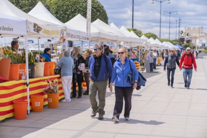 Sant Jordi en Cambrils