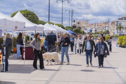 Sant Jordi en Cambrils