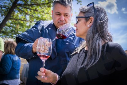 Fira del Vi de Falset