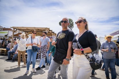 Fira del Vi de Falset