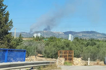 Imatge de la gran columna de fum que es pot veure des de l'Ampolla.