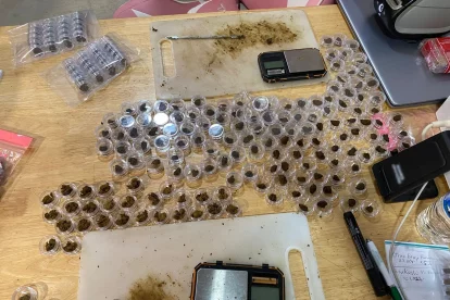 Droga intervenida en Reus.