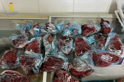 Imatge de la tonyina roja interceptada.