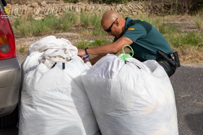 Imagen de las bolsas con la ropa falsificada.