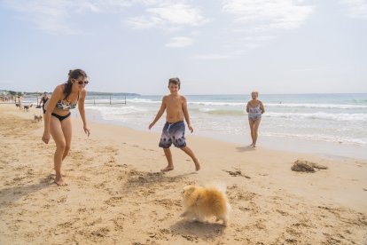 Perros en la playa Llarga de Tarragona.