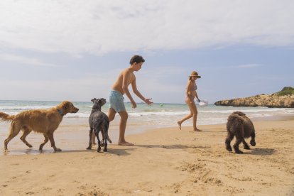 Perros en la playa Llarga de Tarragona.