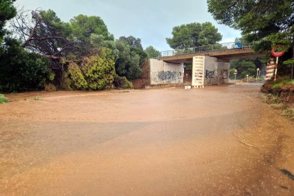 Inundaciones en Miami Platja por un árbol caído al barranco de la Pitxerota