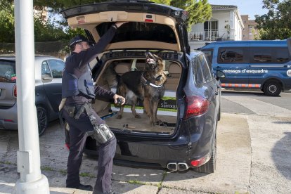 Imagen del dispositivo.