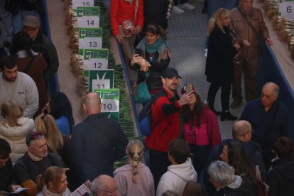 Una pareja se fotografía en el marco de la Gran fiesta de la calçotada de Valls