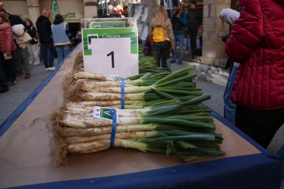 Dieciocho productores han participado en el concurso de cultivadores de la Gran fiesta de la calçotada de Valls