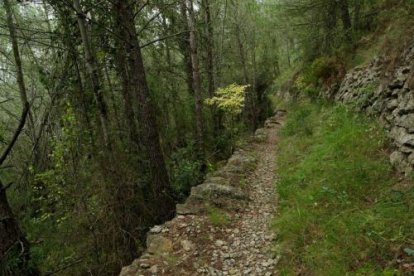 Imagen de Sendero Azul Mosboquera-Castelío.