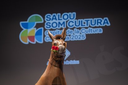 Gala inaugural de Salou como Capital de la Cultura Catalana.