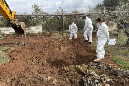 L'exterior de la finca irregular de Constantí