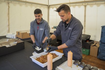 Tast popular de bao de carxofes a Cambrils.
