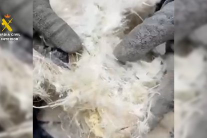 Imatge de la cocaïna oculta dins el farcit de les cadires