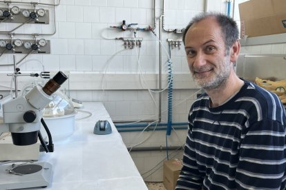 Eduard Llobet, investigador de la URV, ha liderado la investigación.