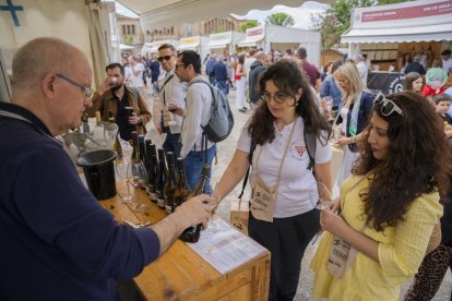 Fira del Vi de Falset.