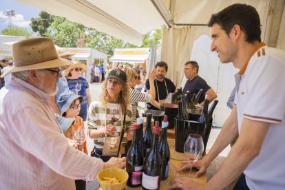 Fira del Vi de Falset.