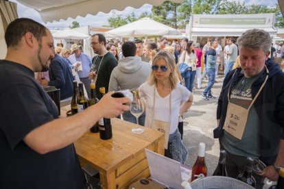 Fira del Vi de Falset.