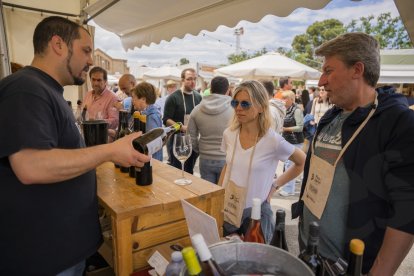 Fira del Vi de Falset.