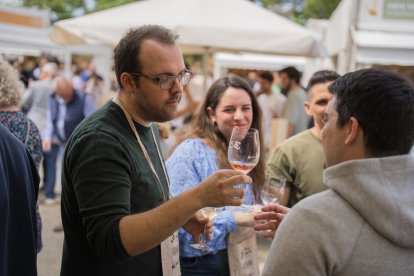 Fira del Vi de Falset.