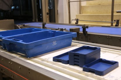 Imagen de las nuevas cajas para el pescado hechas con cáscara de arroz.