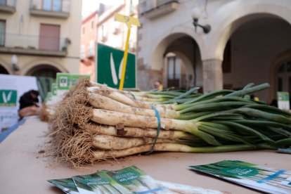 Imatge de La Gran Festa del Calçot de Valls