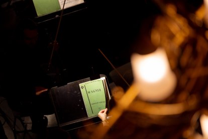 Los músicos salvaron muchos momentos con oficio y calidad, pese a una dirección que cortó a menudo el flujo dramático.