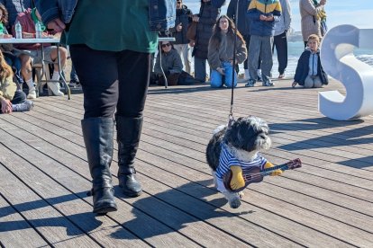 Un dels participants de la segona edició del Cós Blanc per a Mascotes