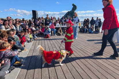 Un dels participants de la segona edició del Cós Blanc per a Mascotes