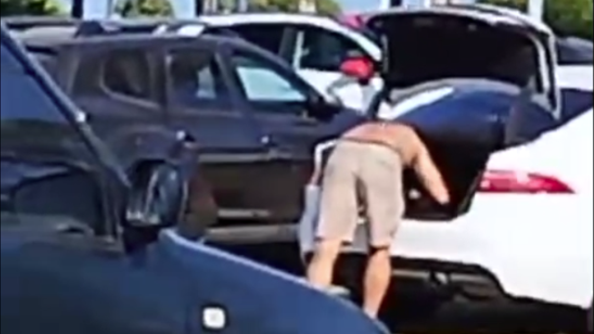 Detienen a dos hombres en la Pineda especializados en robos en interior de vehículos
