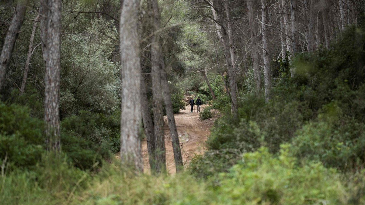 Imatge de l'Anella Verda de Tarragona.