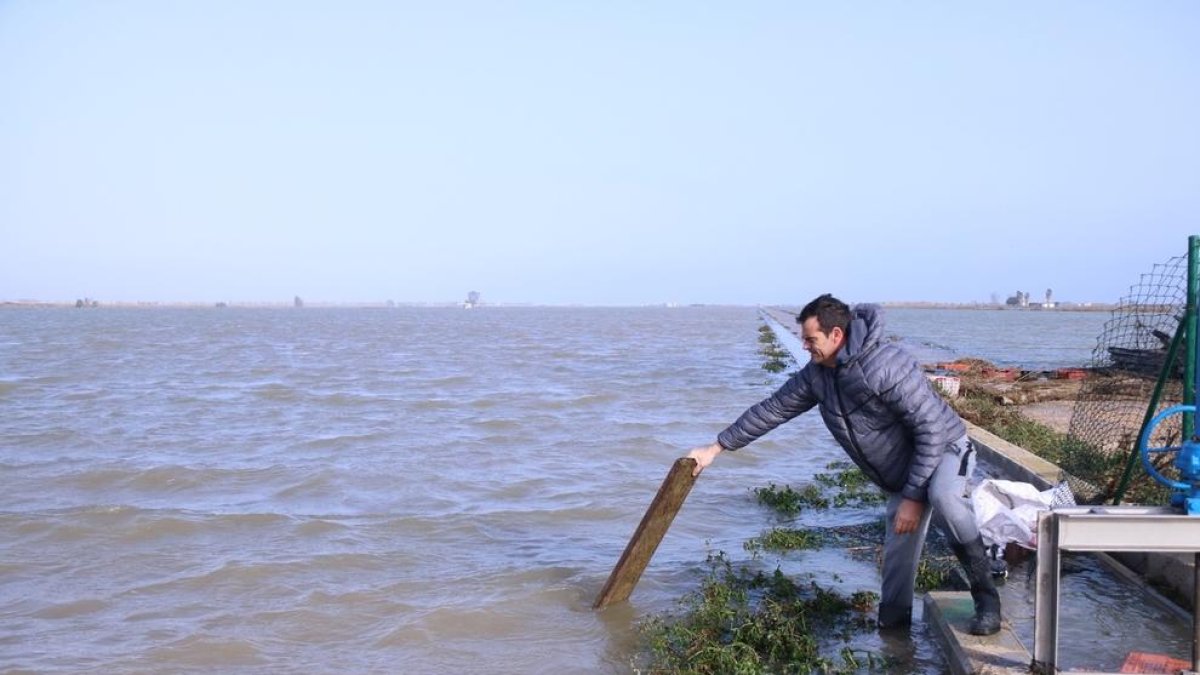 Afectaciones del temporal en el delta del Ebro