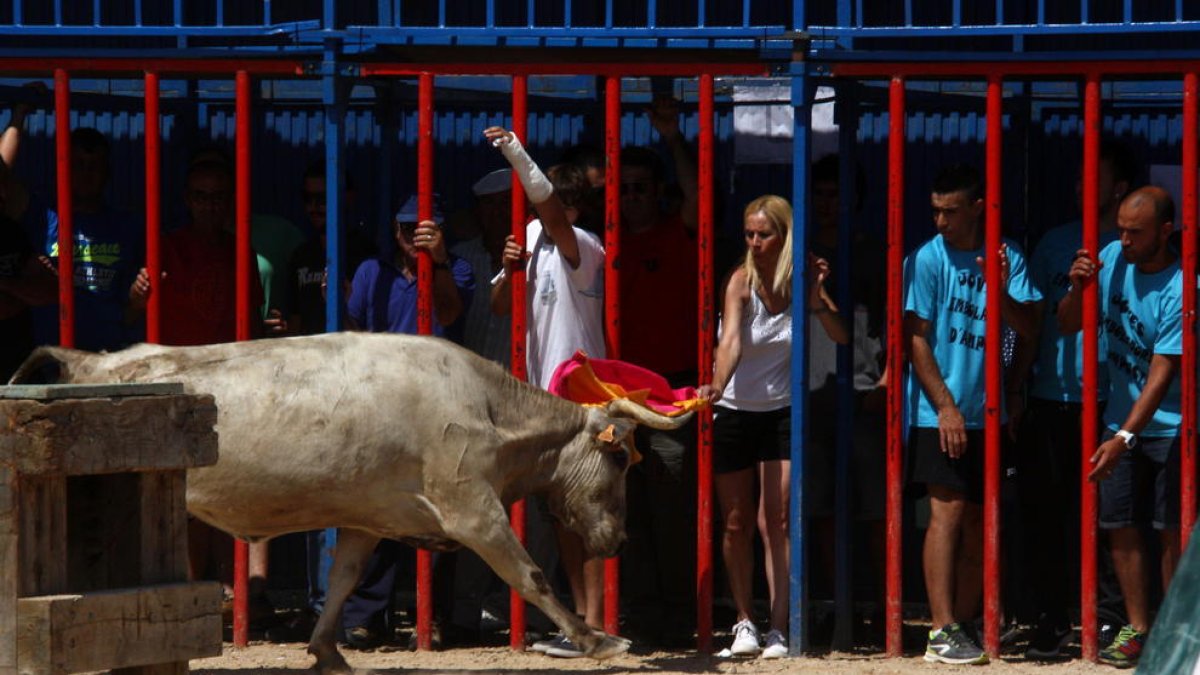 Animalistas ebrenses reclaman delante de la plaza de toros de Amposta una alternativa a la fiesta taurina