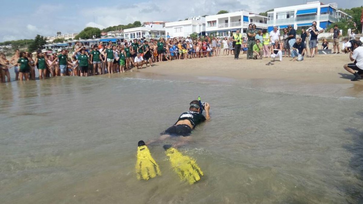 L'alliberament de les tortugues ha despertat molta expectació.