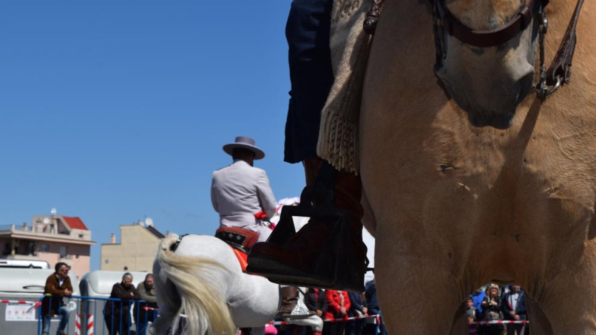 La doma de cavalls ha estat el punt d'atracció de tots els presents.