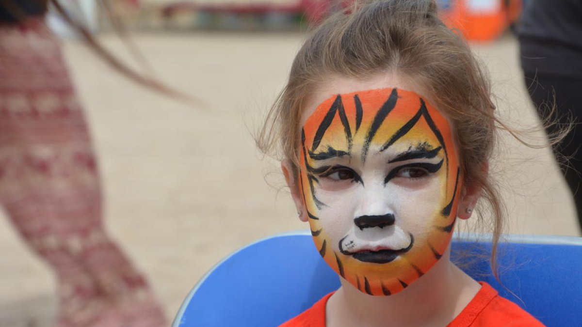 Les associacions de gats del Camp de Tarragona celebren el 1r FestiGat