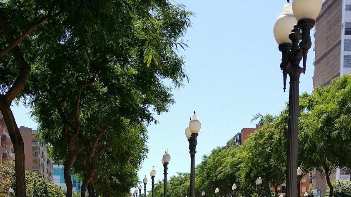 Imagen de la rambla con los bancos.